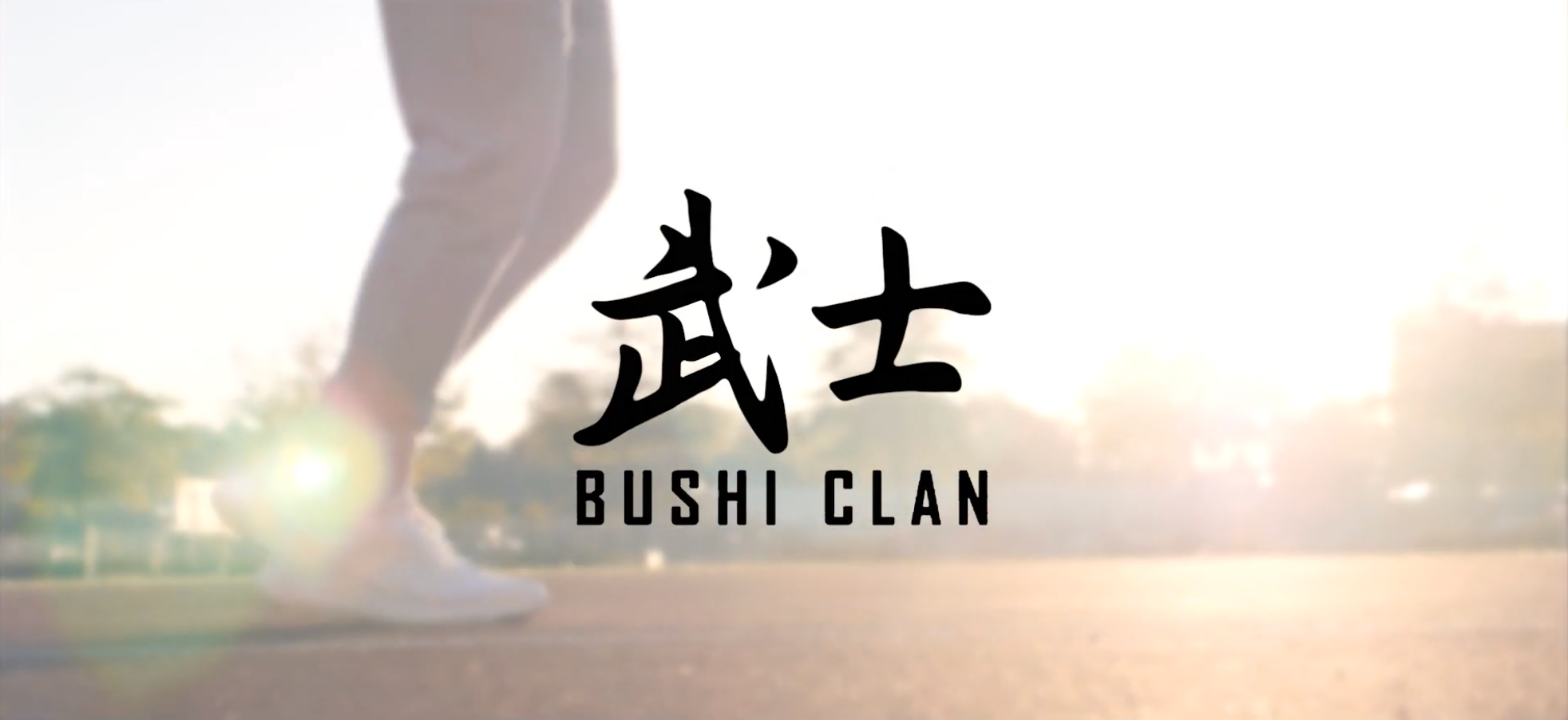 Charger la vidéo : 